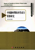 中国新时期农村劳动力转移研究