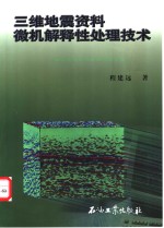 三维地震资料微机解释性处理技术