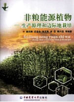 非粮能源植物  生产原理和边际地栽培