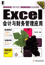 Excel会计与财务管理应用