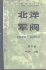 北洋军阀  1912-1928  第三卷  皖系军阀与日本