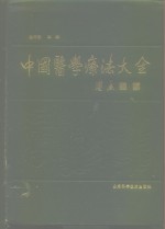 中国医学疗法大全