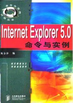 Internet Explorer 5.0命令与实例