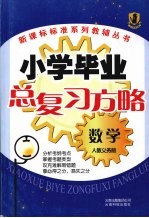 小学毕业总复习方略  数学  人教义务版