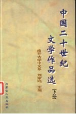 中国二十世纪文学作品选  下