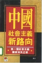 中国社会主义新路向  第一个社会主义国家消失之后