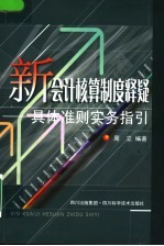 新会计核算制度释疑  具体准则实务指引