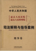 最高人民法院、最高人民检察院、司法解释与指导案例  刑事卷