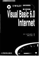 Visual Basic 6.0 Internet编程指南