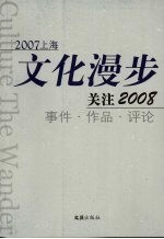 2007上海文化漫步  关注2008事件作品评论