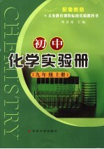 初中化学实验册  九年级  上