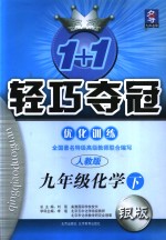 1+1轻巧夺冠·优化训练  化学  九年级  下  新课标人教版