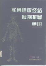 实用临床经络解剖推拿手册