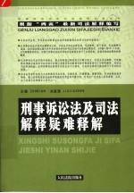 刑事诉讼法及司法解释疑难释解  第2版