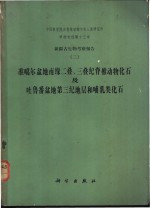 新疆古生物考察报告  3  准噶尔盆地南缘二叠、三叠纪脊椎动物化石及吐鲁番盆地第三纪地层和哺乳类化石