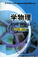 义务教育课程标准实验教科书  物理  九年级  上  学物理  九年级第一学期用  配粤教泸科版