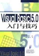 Visual Basic 5.0 入门与技巧