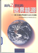 面向21世纪的世界能源  第18届世界能源大会论文选编