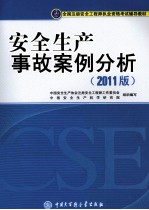 全国注册安全工程师执业资格考试辅导教材  安全生产事故案例分析  2011版