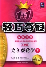 新课标  1+1轻巧夺冠·同步讲解  化学  九年级  下  人教版