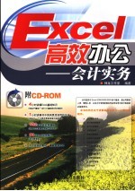 Excel高效办公-会计实务