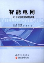 智能电网  21世纪国际能源新战略