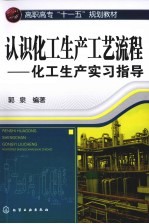 认识化工生产工艺流程  化工生产实习指导