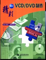 精彩DIY VCD/DVD制作