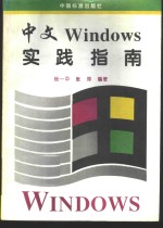 中文Windows实践指南