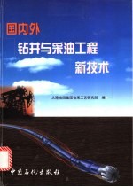 国内外钻井与采油工程新技术