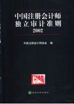 中国注册会计师独立审计准则  2002