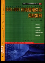 ISO14001环境管理体系实战案例