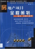 房地产项目全程策划  理论、实操与案例