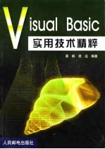 Visual Basic实用技术精粹