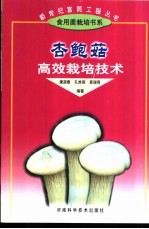 杏鲍菇高效栽培技术