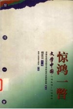 惊鸿一瞥  文学中国  1949-1999