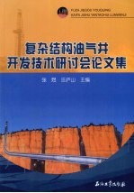 复杂结构油气井开发技术研讨会论文集