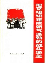 把党组织建成朝气蓬勃的战斗堡垒