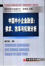 中国中小企业融资：供求、效率与机制分析