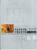 中央美术学院中国美术学院学生作品精选  色彩