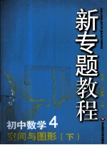 初中数学  4  空间与图形  下