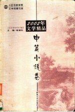 2002年文学精品  中篇小说卷