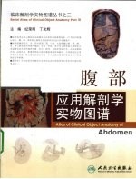 腹部应用解剖学实物图谱