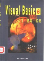 Visual Basic 6入门·提高·实战