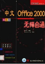 中文Office 2000无师自通  双色版