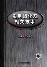 实用磷化及相关技术