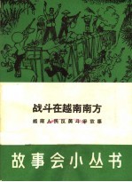 战斗在越南南方  越南人民反美斗争故事