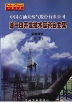 中国石油天然气股份有限公司油气田开发技术座谈会文集  2001  下