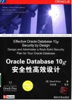 Oracle Database 10g安全性高效设计