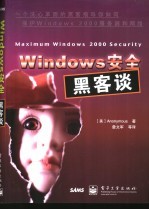 Windows安全黑客谈